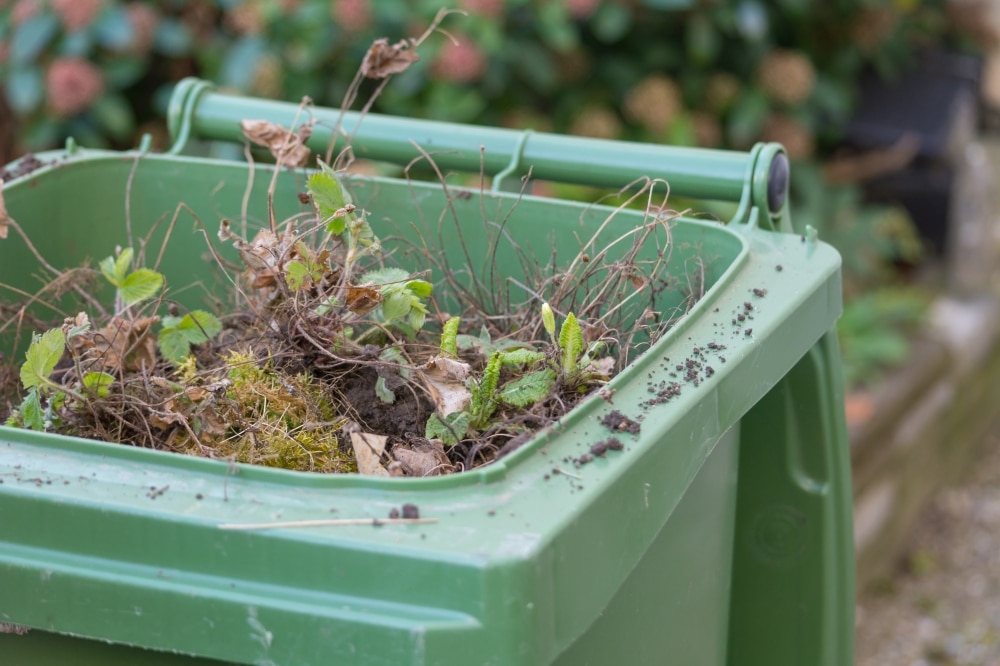Tonbridge's new garden waste charge could be scrapped